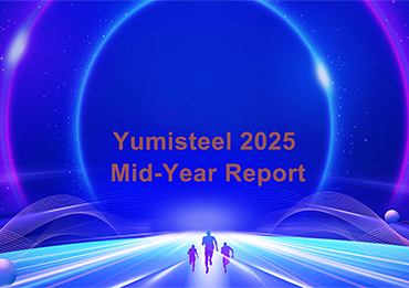 Análisis de mitad de año de Yumisteel 2025